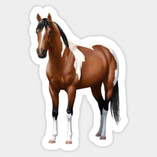 Brown Bay Quarter Horse Pinto Paint Horse Stallion Sticker